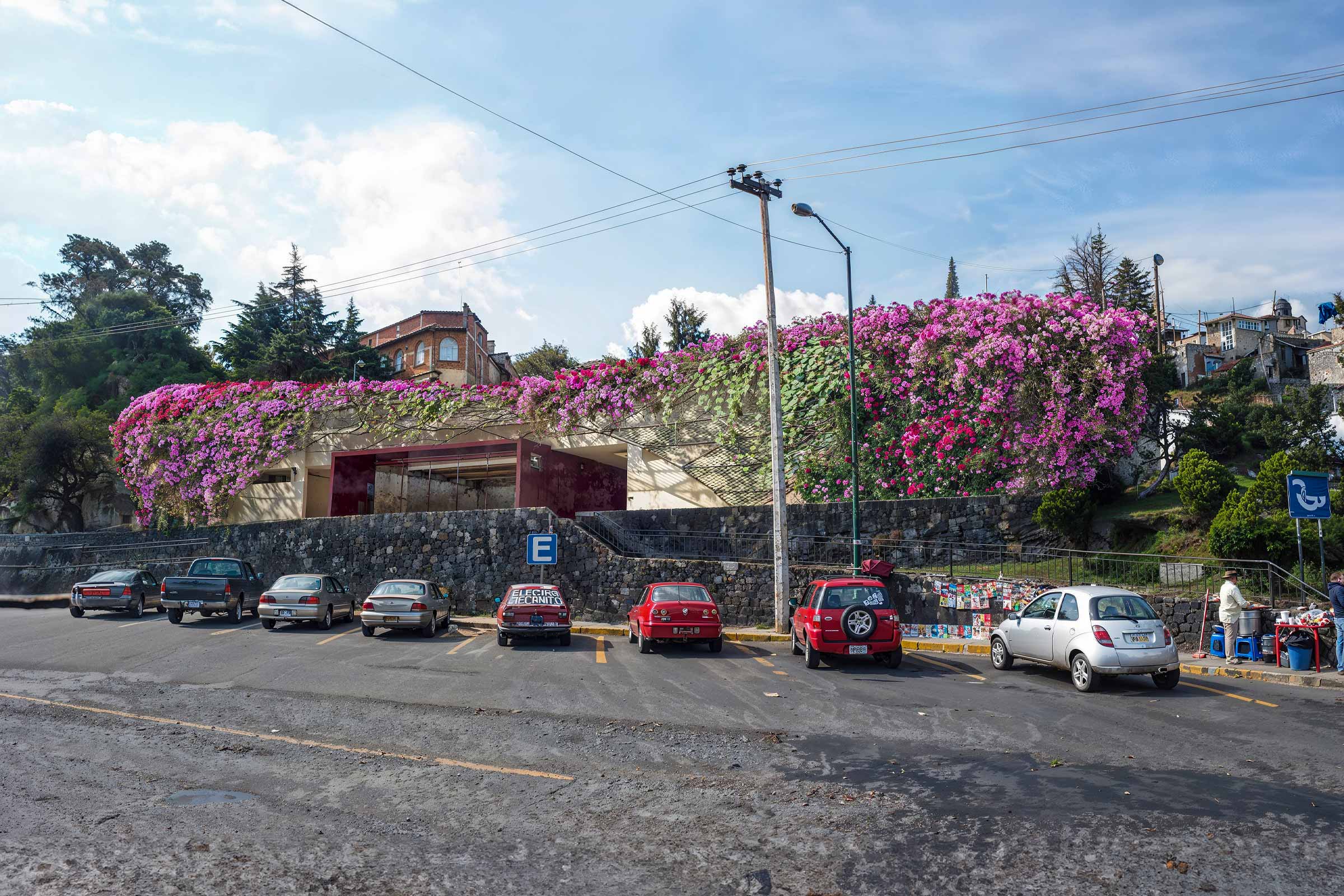 Bugambilia Extravaganza