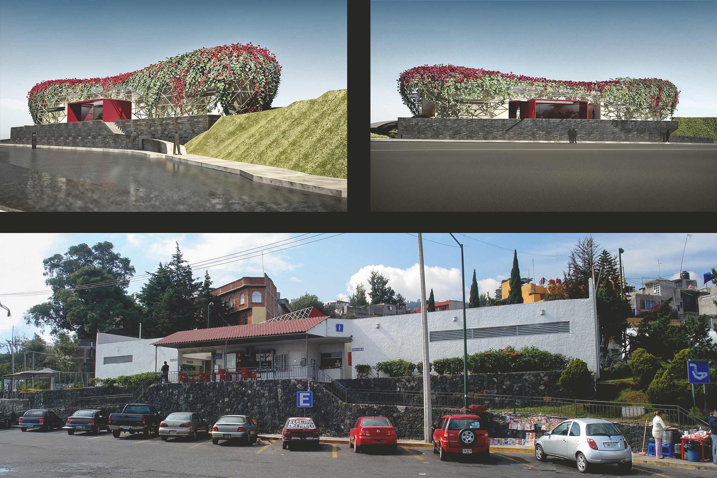 Bugambilia Extravaganza