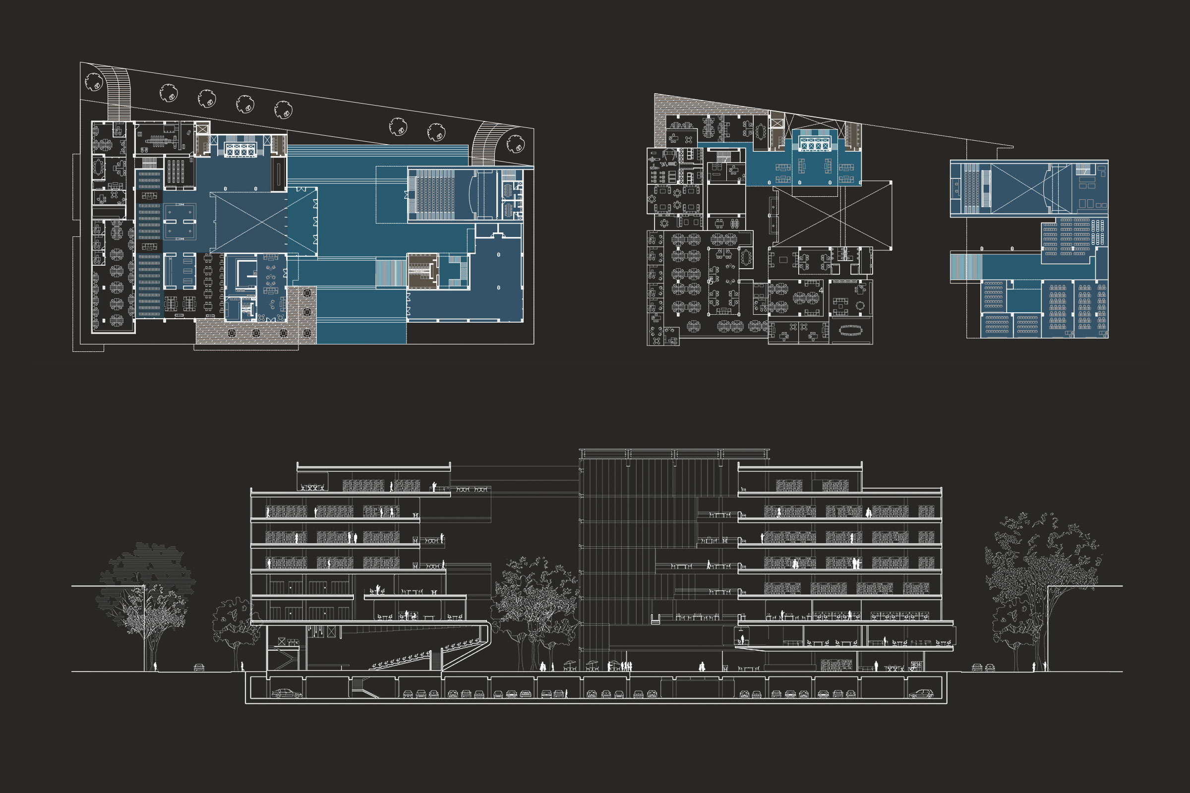 Biblioteca de Guadalajara